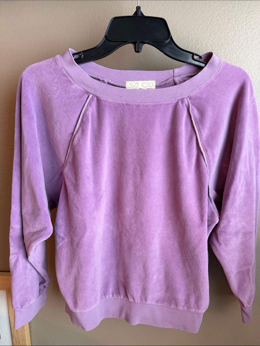Suzi Kondi Lavender Pullover Velvet Sweatshirt